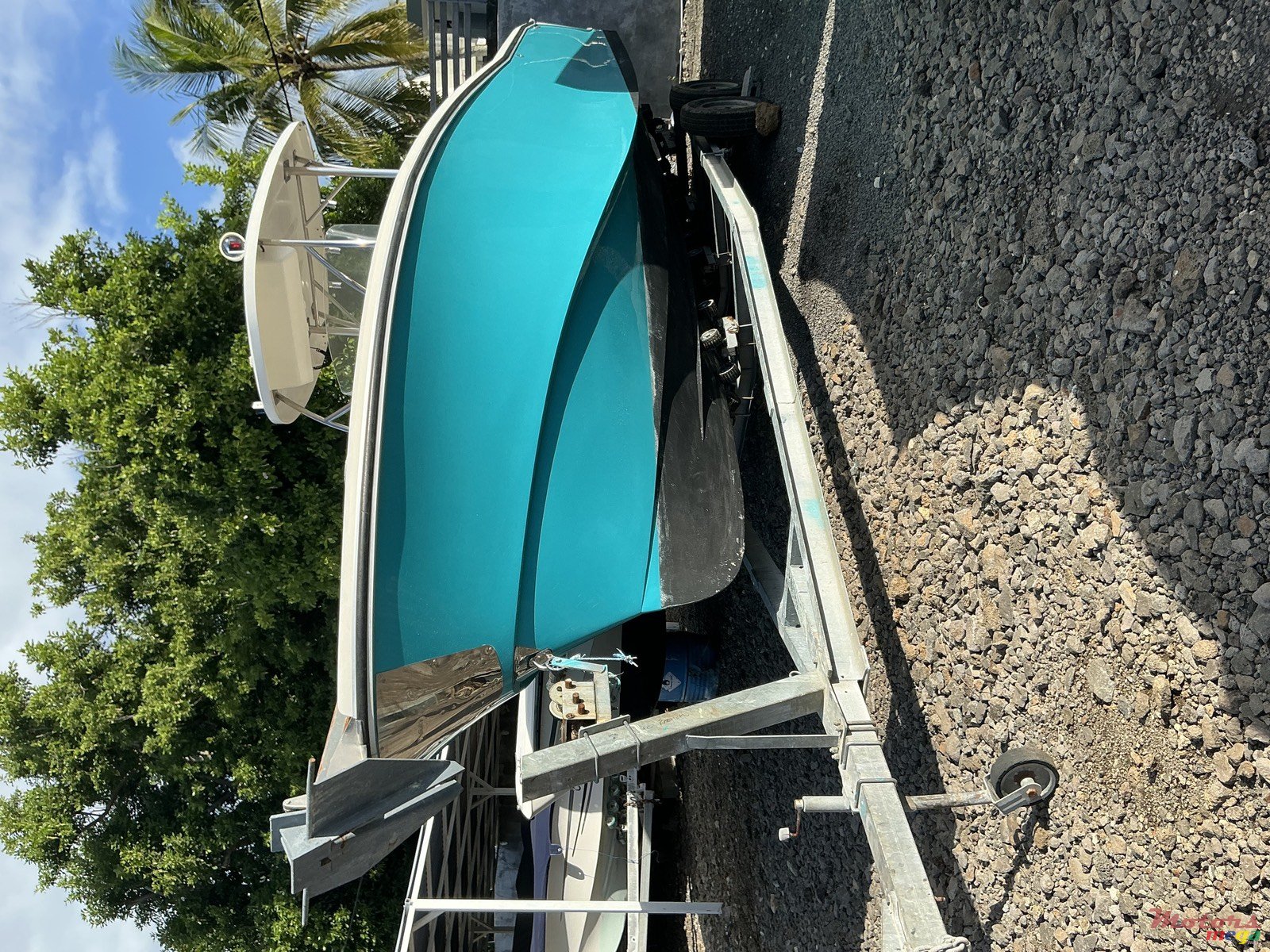 2016' Tema marine photo #7