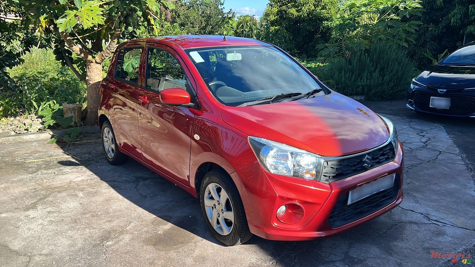 2019' Suzuki Celerio photo #2