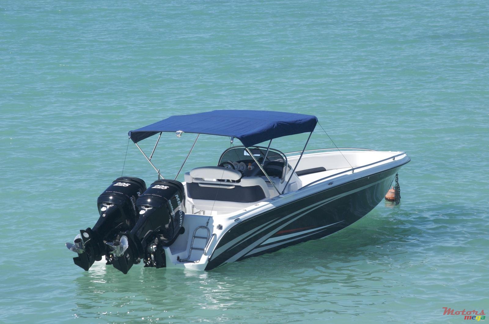 2010' Cobra photo #1