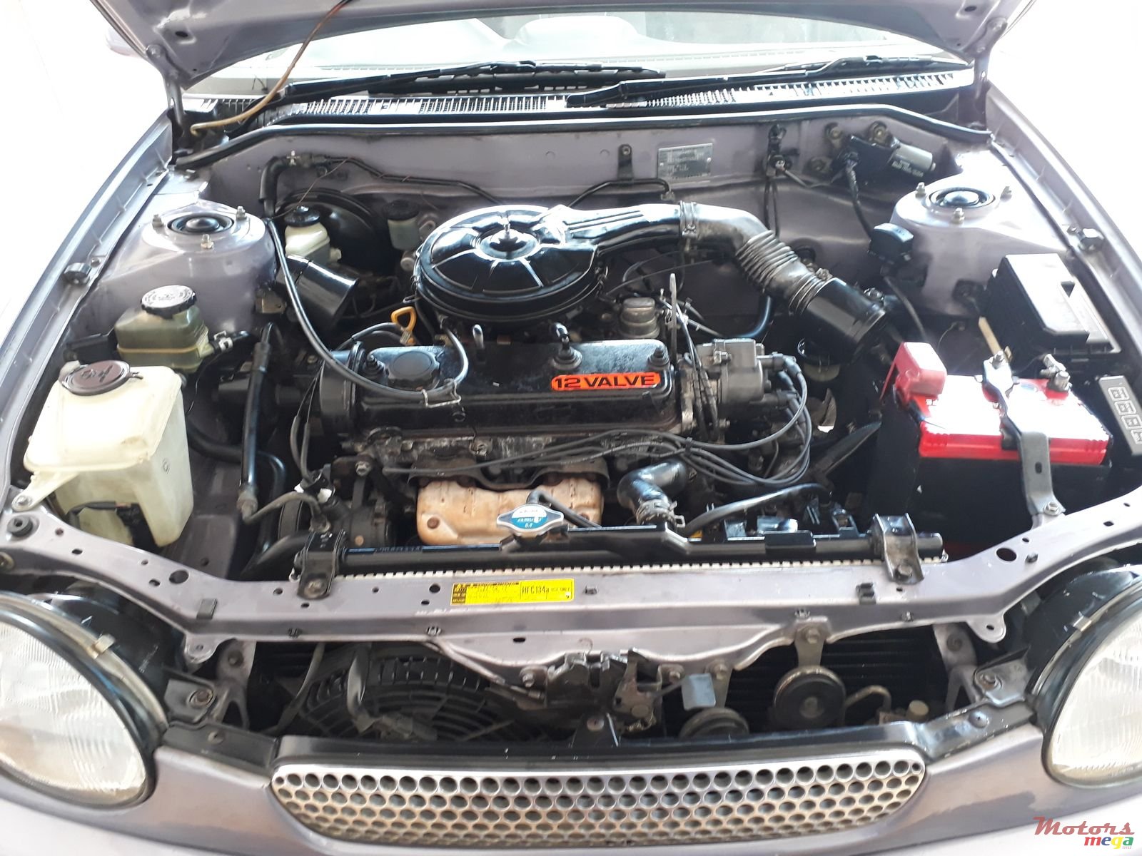 1998' Toyota Corolla photo #6