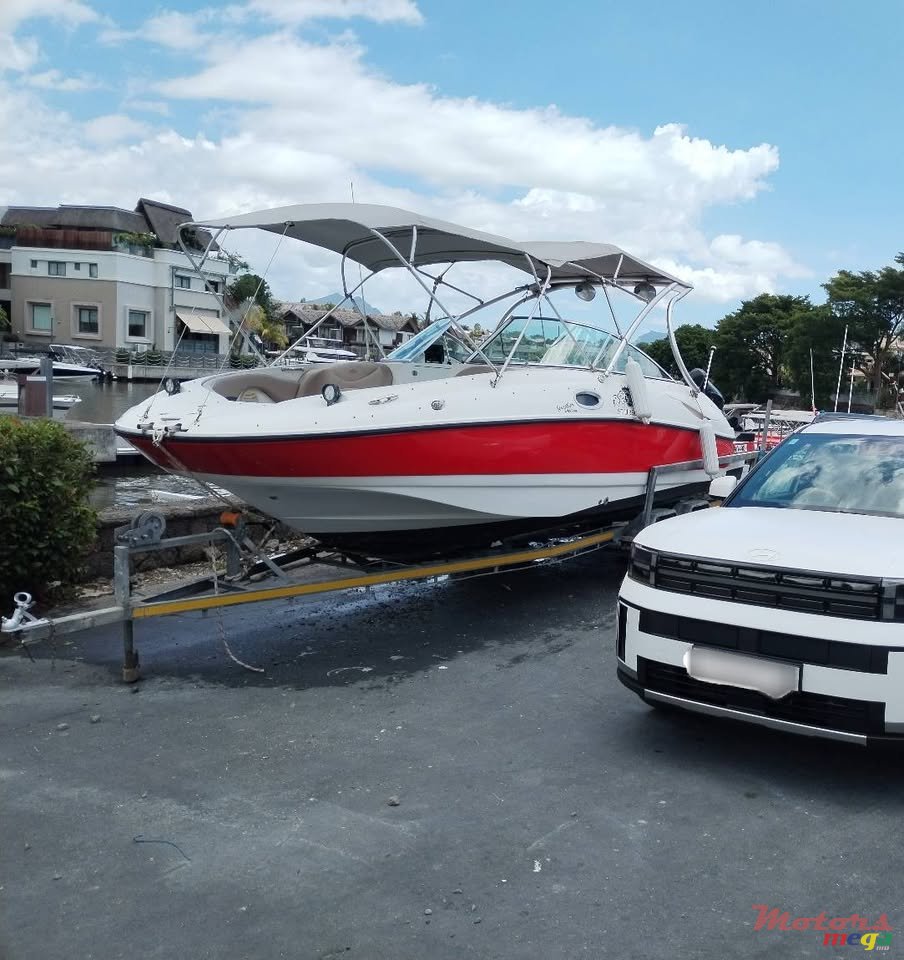 2014' Sunsation photo #6