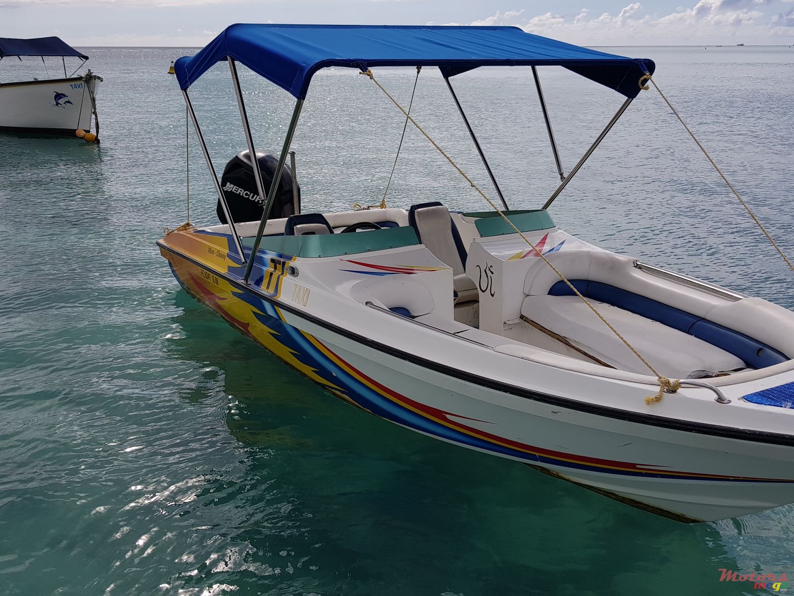 2007' Cobra photo #1