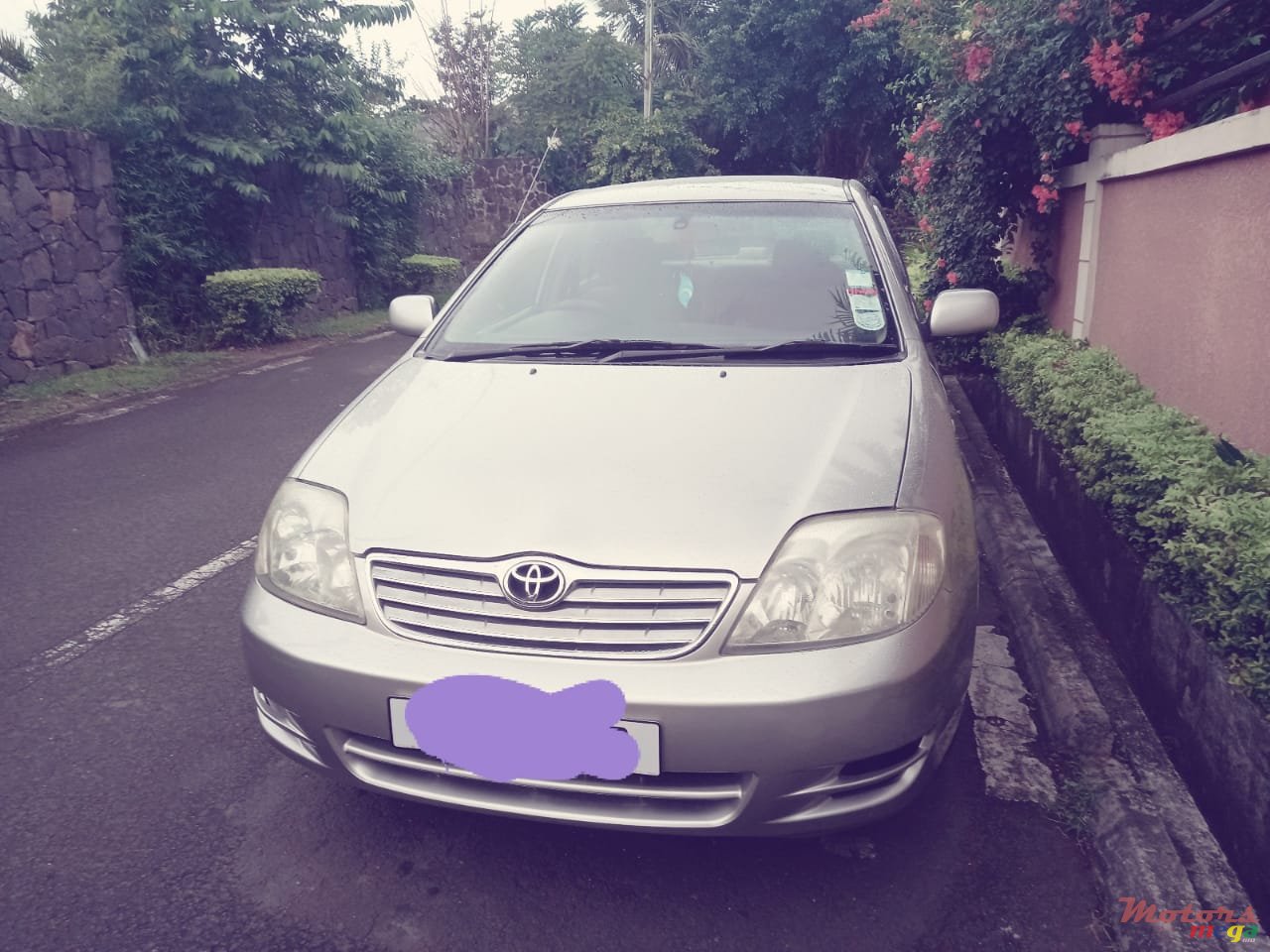 2003' Toyota Corolla photo #1