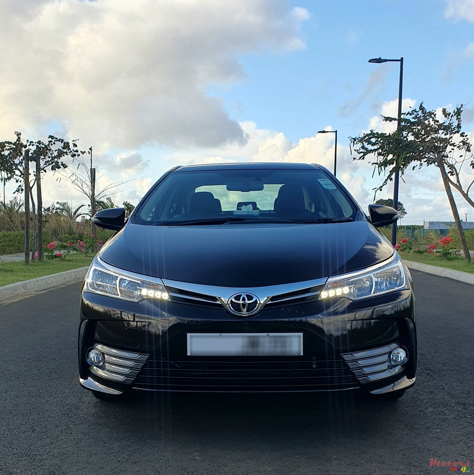 2020' Toyota Corolla photo #2