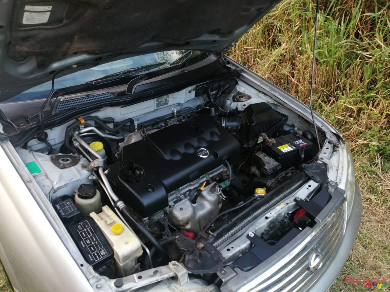 2004' Nissan photo #2