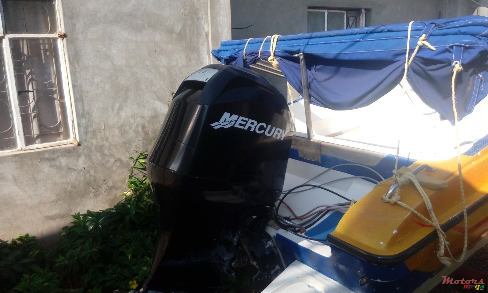 2009' Cobra photo #3