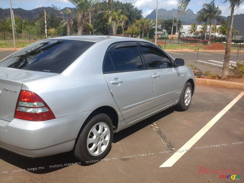 2003' Toyota Corolla photo #4
