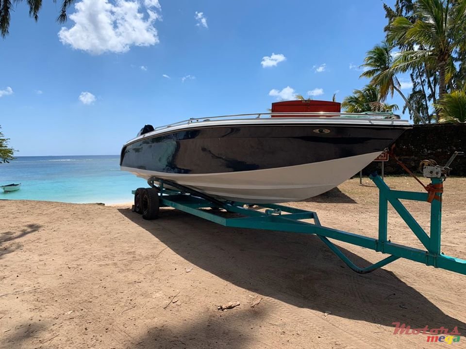 2020' Cobra photo #4