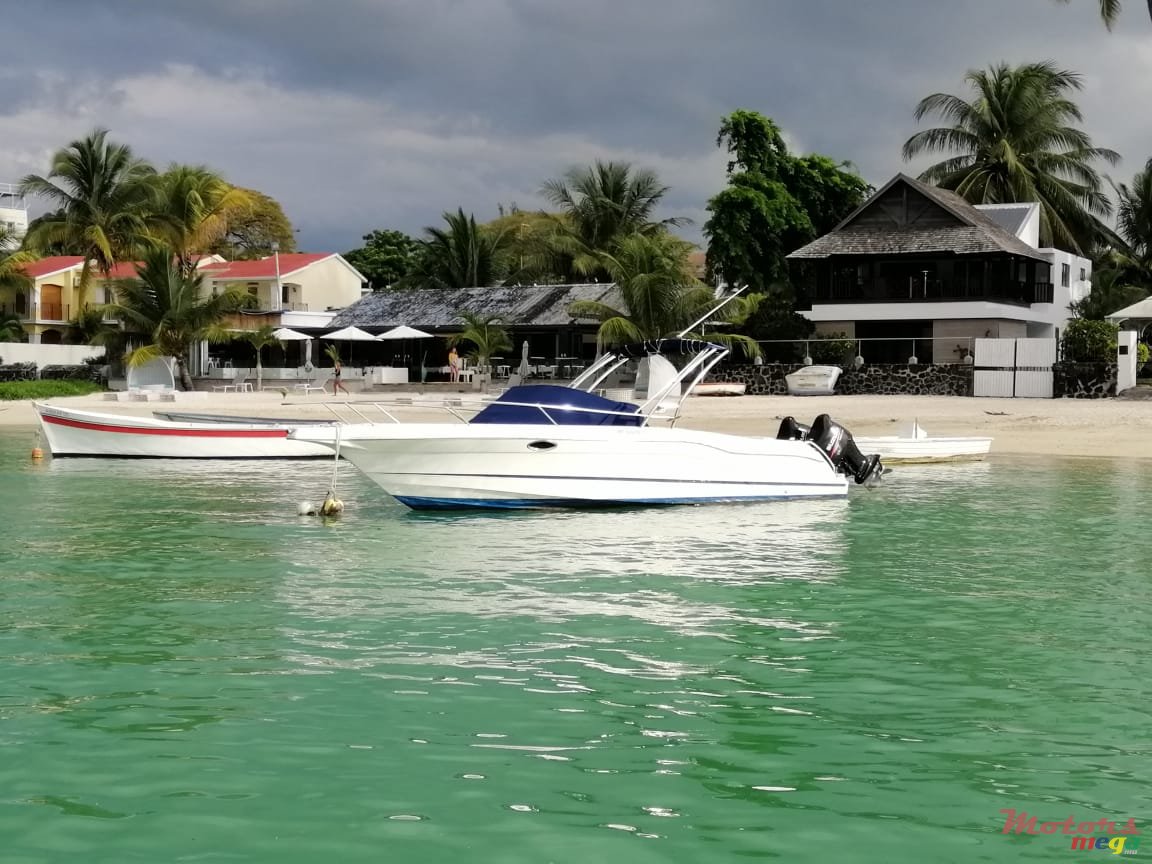 2011' Suzuki photo #2