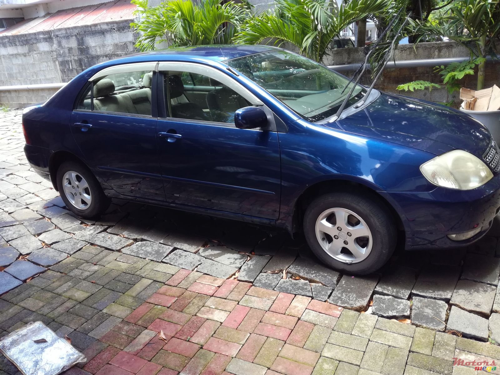 2002' Toyota Corolla photo #2