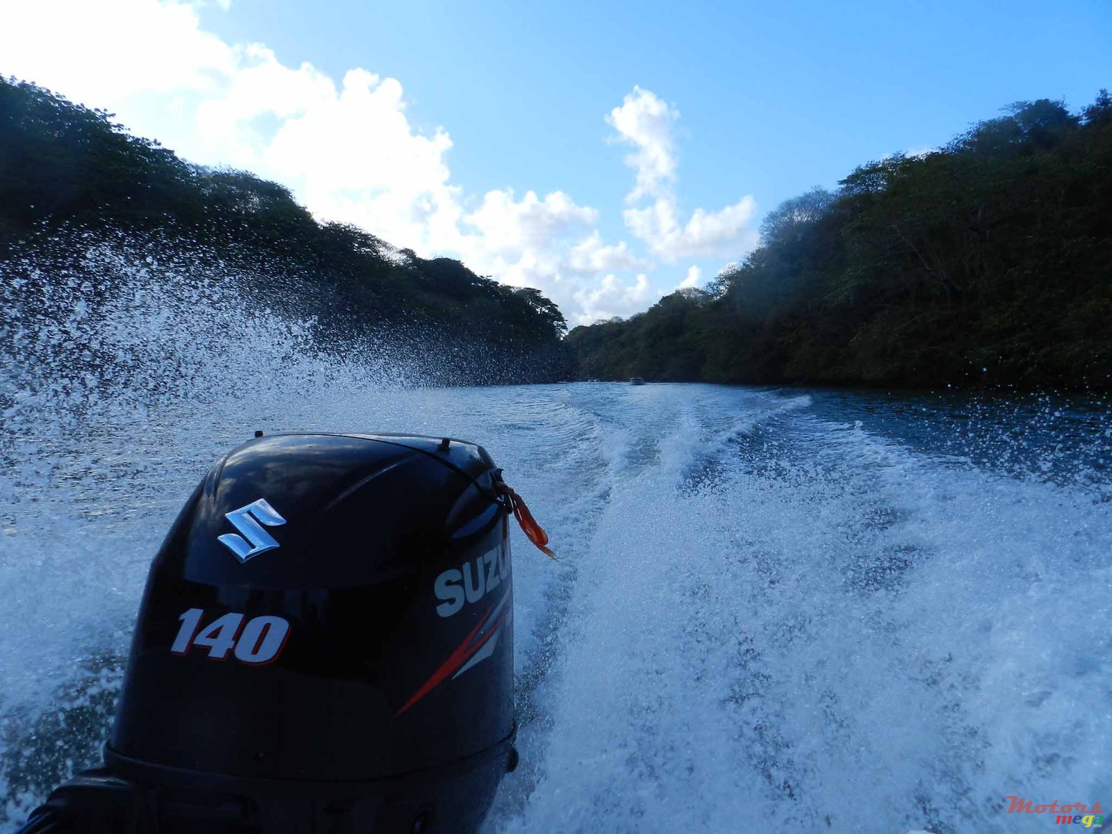 2014' Suzuki photo #2