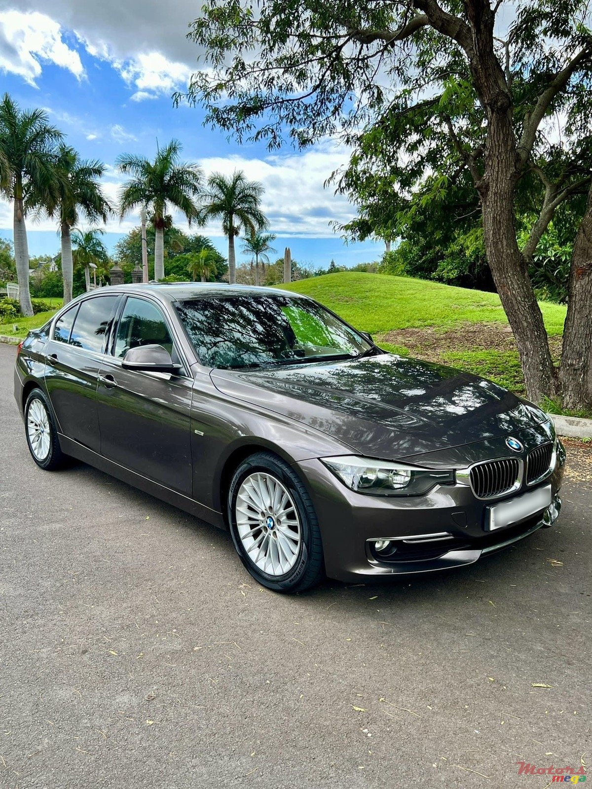 2014' BMW 316 photo #1