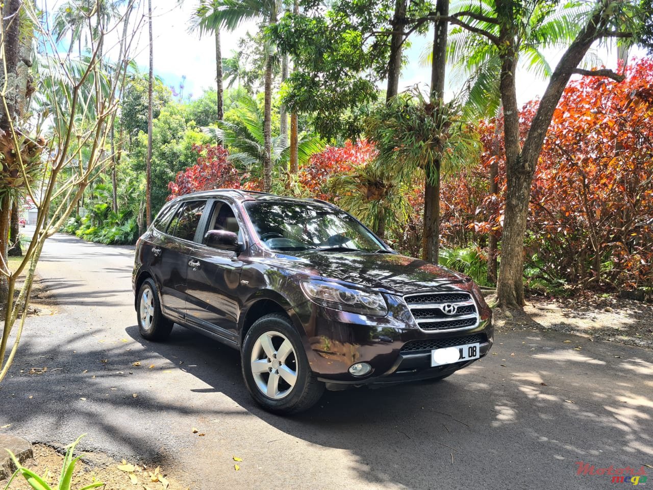 2008' Hyundai Santa Fe photo #1