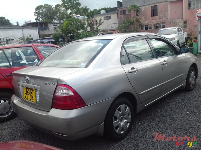 2004' Toyota Corolla NZE photo #3