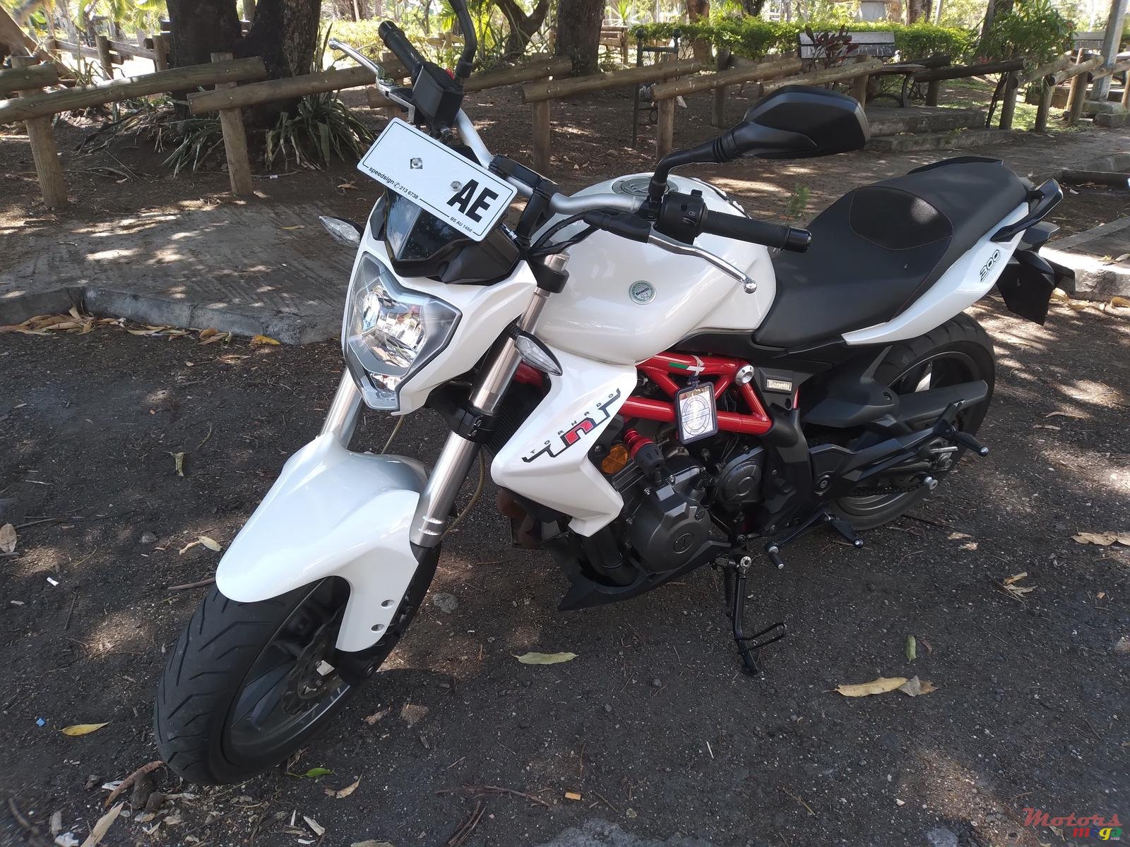 2019' Benelli TNT 300 photo #5