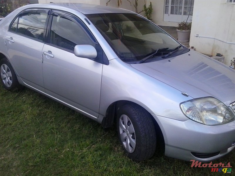 2002' Toyota Corolla photo #1