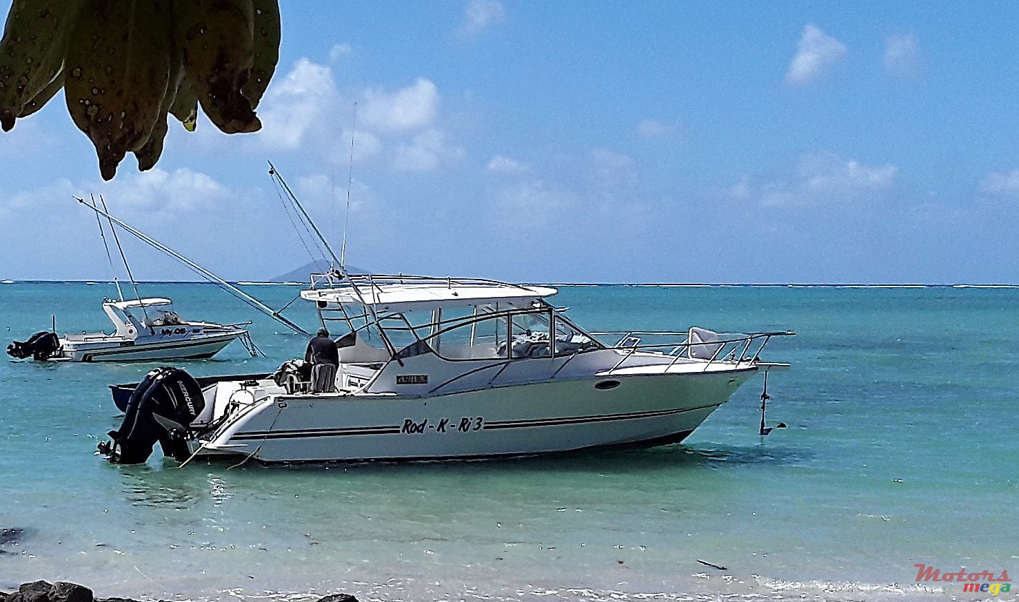 2014' Legend photo #1