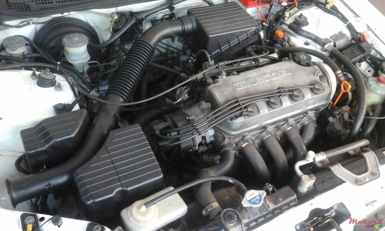 2000' Honda Civic photo #5