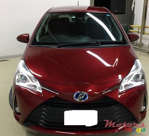 2019' Toyota Vitz F SAFETY hybrid photo #1