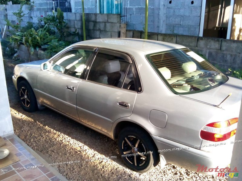 1999' Toyota Corolla photo #2