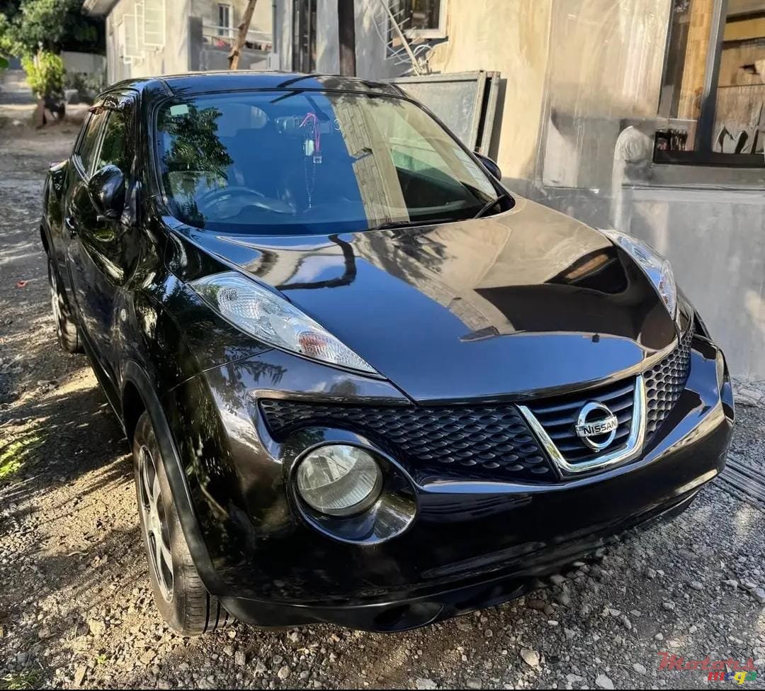 2010' Nissan Juke photo #1