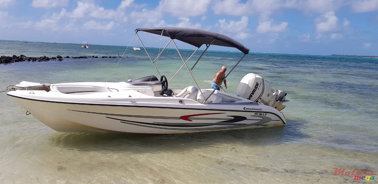 2008' Cobra photo #1