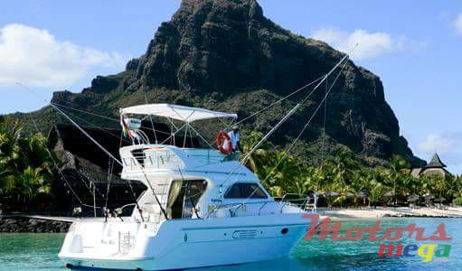 2009' Leopard photo #1