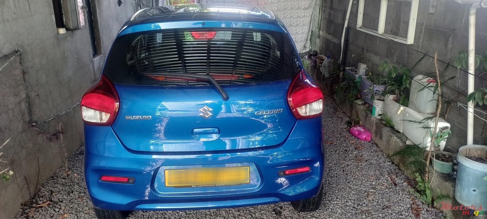 2023' Suzuki Celerio photo #2