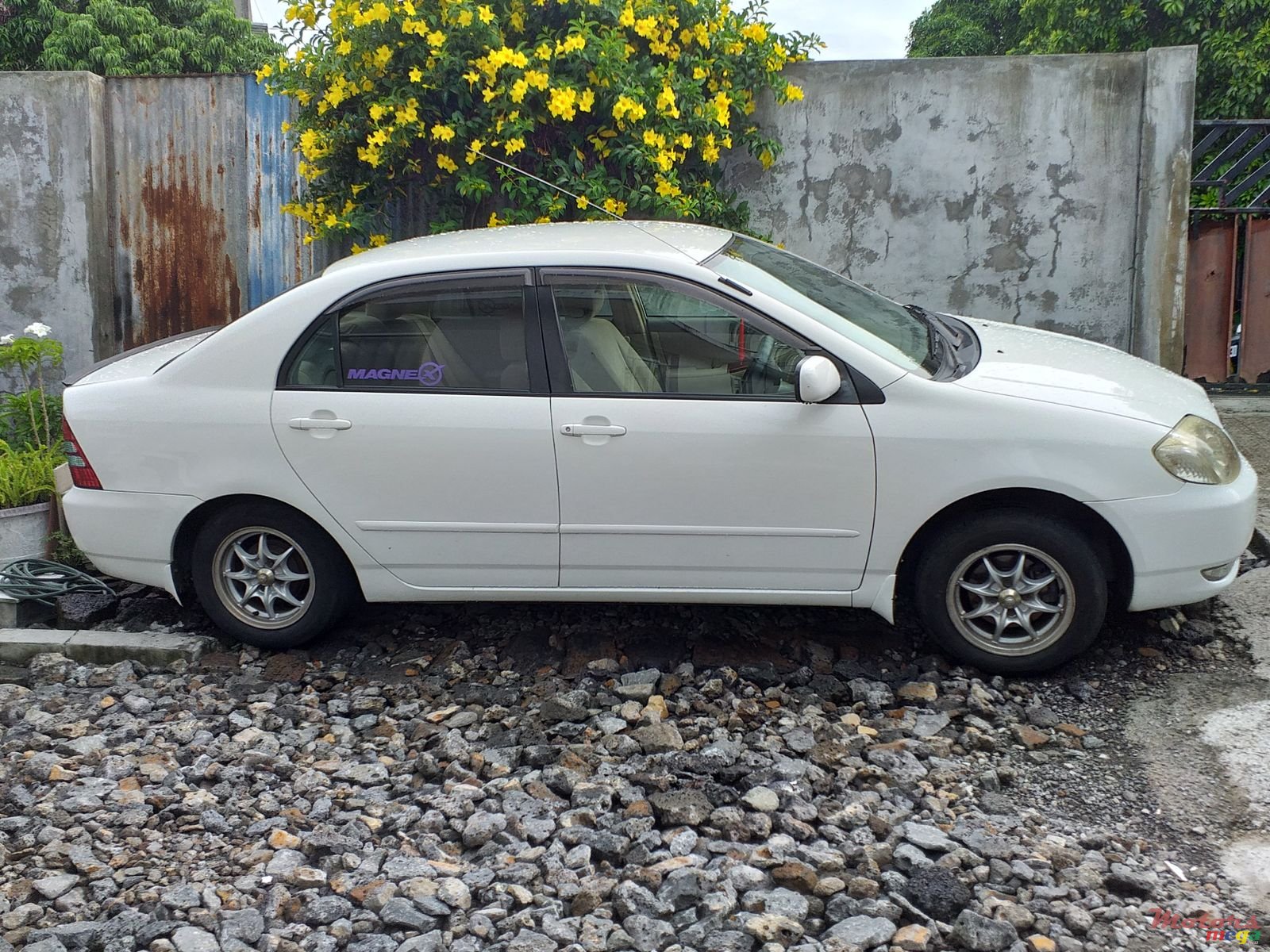 2002' Toyota Corolla photo #5