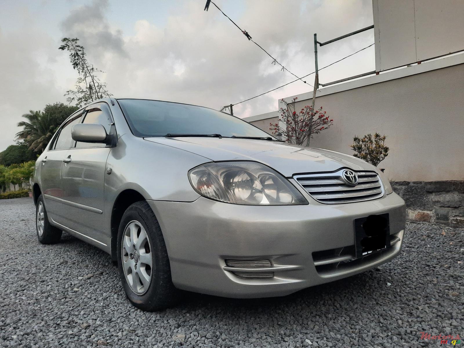 2002' Toyota Corolla photo #2