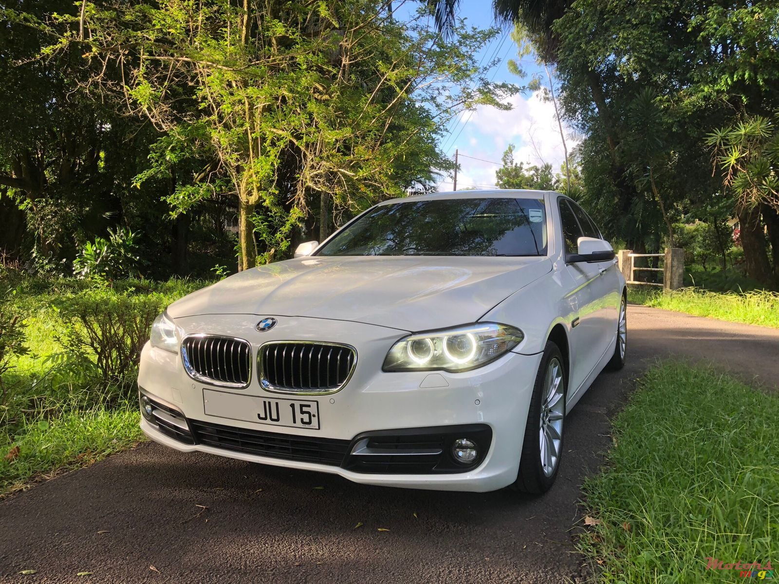 2015' BMW 5 Series 520i Automatic photo #4