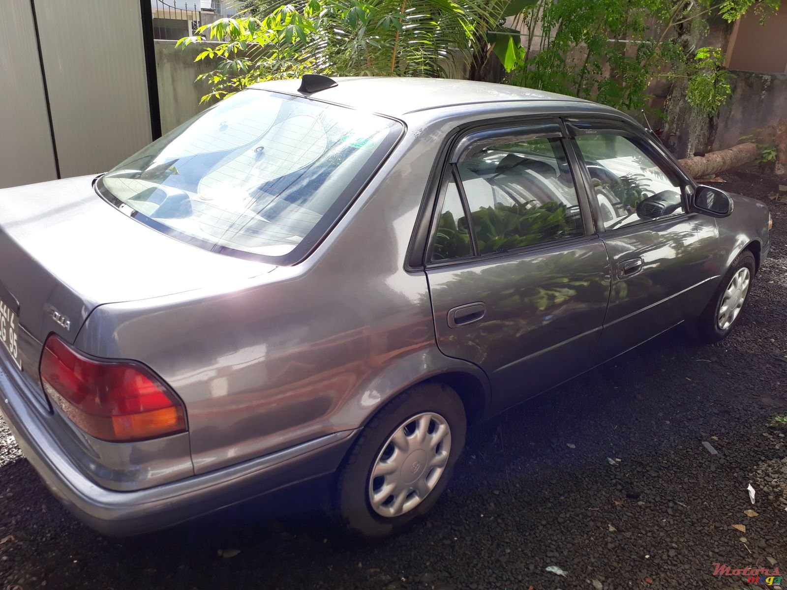 1995' Toyota Corolla photo #2