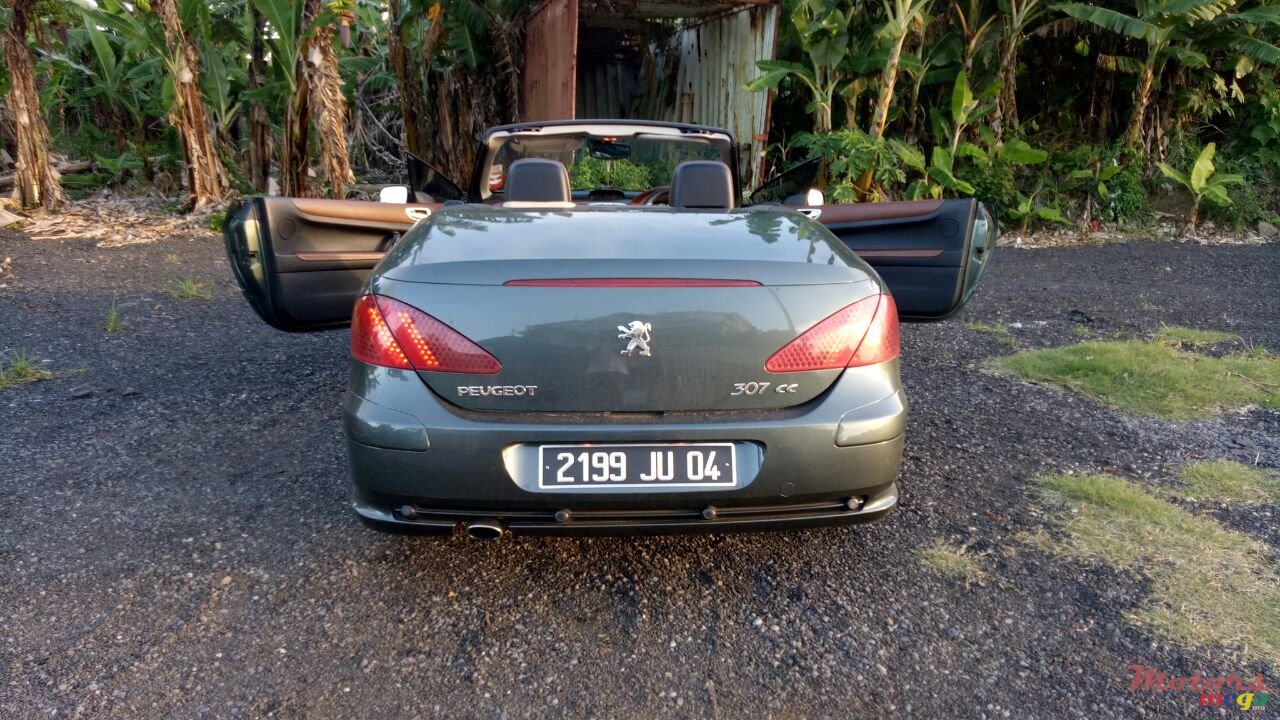 2004' Peugeot 307 photo #3