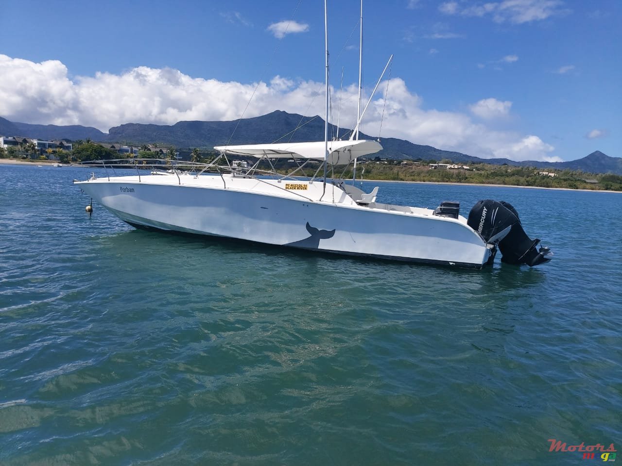 2008' Arrow photo #2