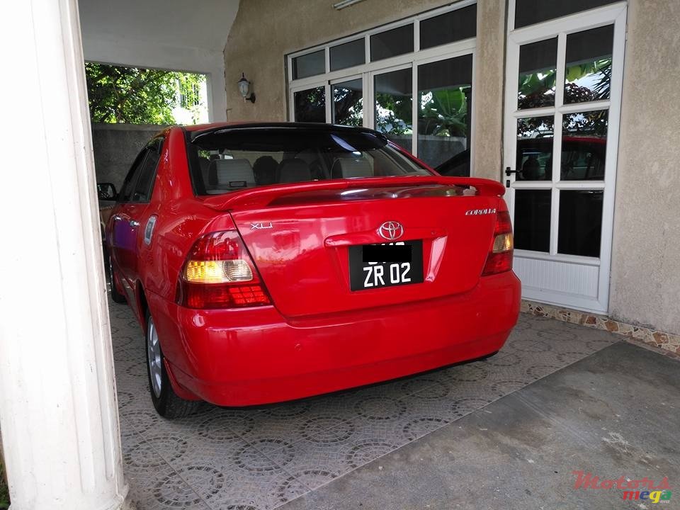 2002' Toyota Corolla NZE photo #3