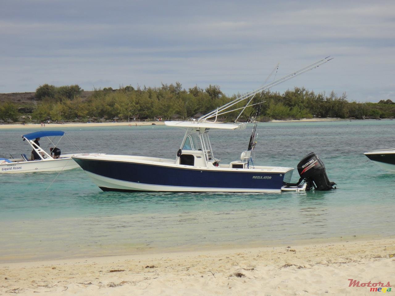 2014' Runner Sport photo #4