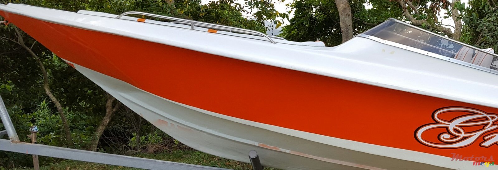 2015' Cobra photo #2