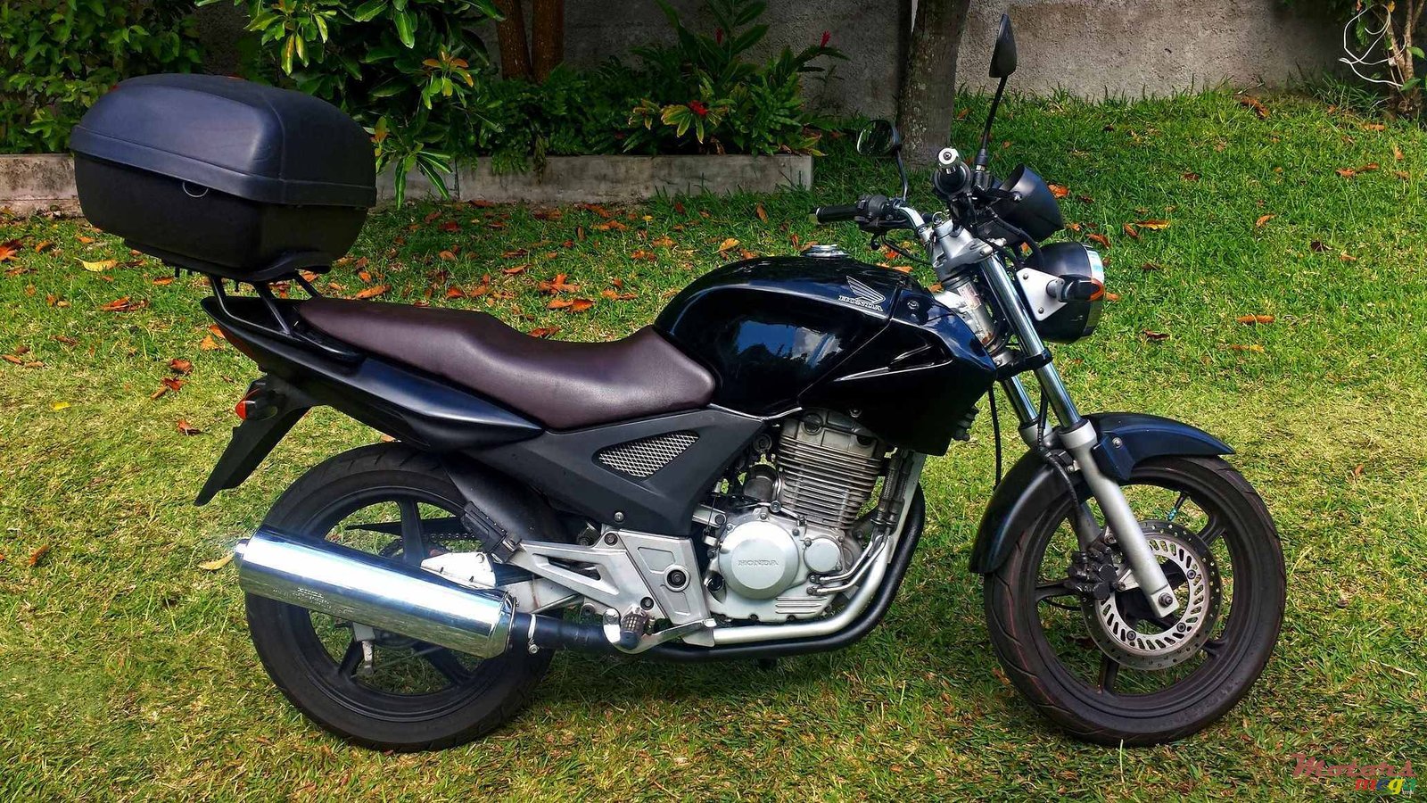 2006' Honda CBX 250 TWISTER photo #1