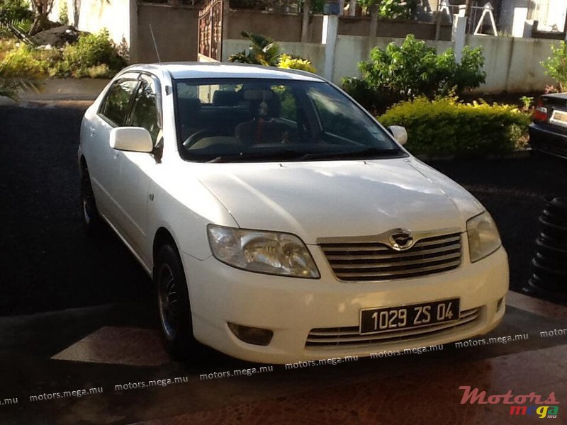 2004' Toyota Corolla NZE photo #1