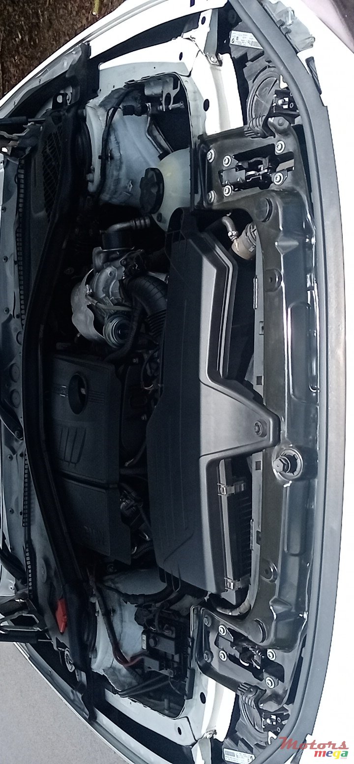 2013' BMW 316 photo #5