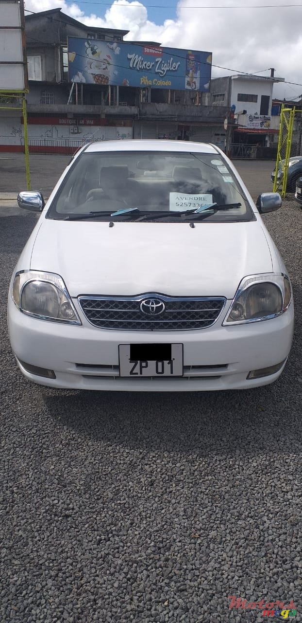 2001' Toyota Corolla NZE photo #4