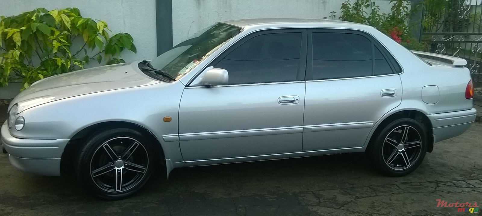 1998' Toyota Corolla photo #1