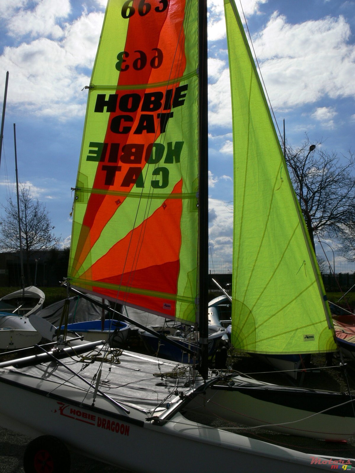 2021' Goymar 2021 photo #1