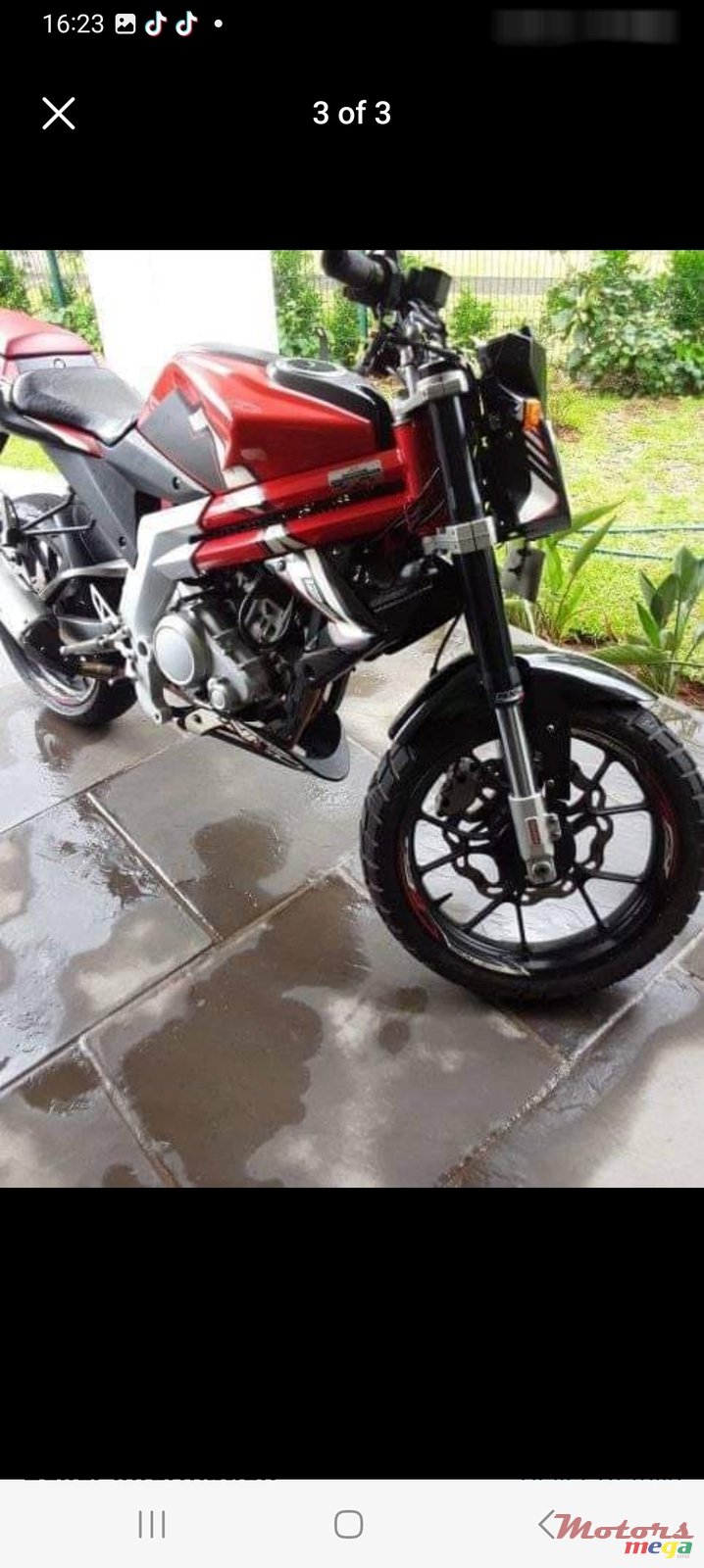 2014' Reiju photo #2