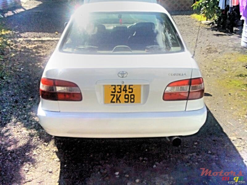 1998' Toyota Corolla photo #3