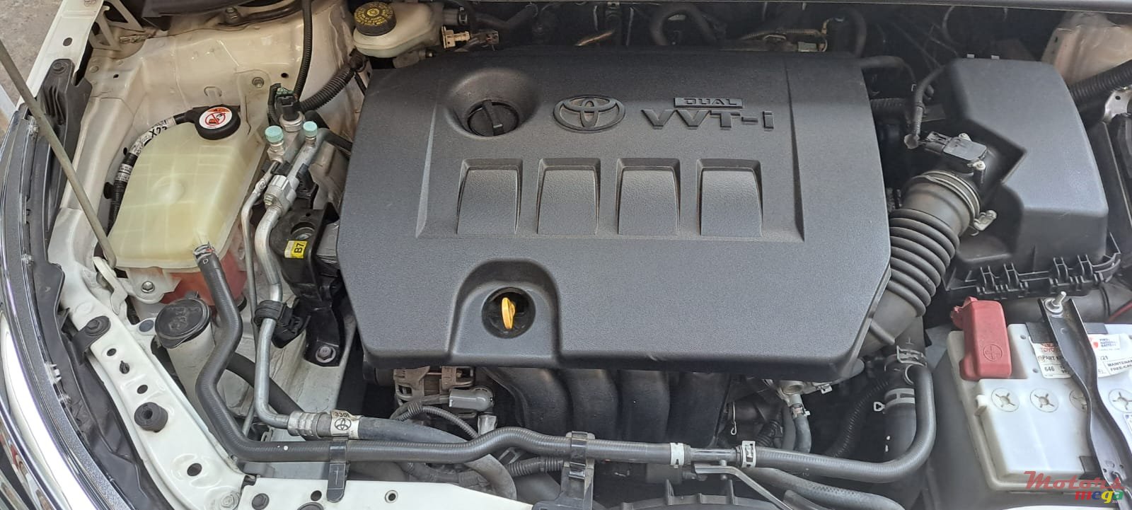 2019' Toyota Corolla NO photo #4