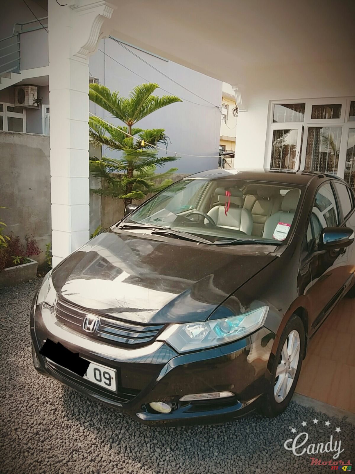 2009' Honda Insight photo #1
