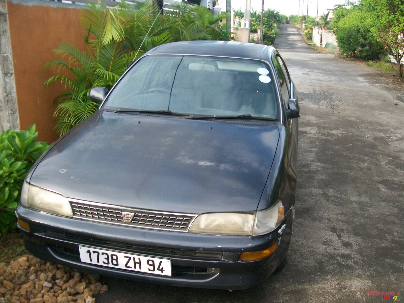 1994' Toyota Corolla EE101 photo #1