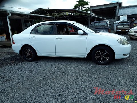 2002' Toyota Corolla NZE photo #5