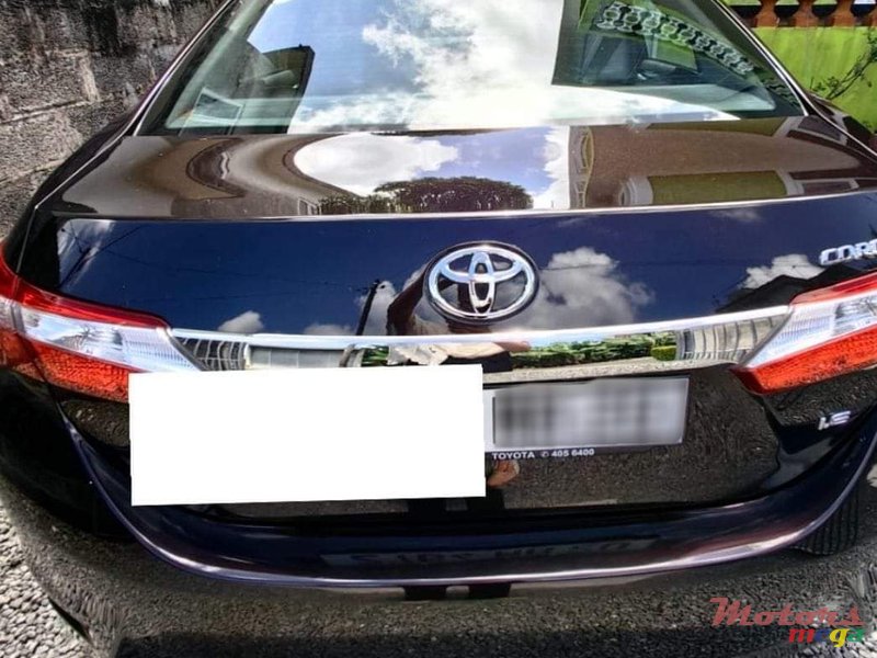 2019' Toyota Corolla photo #4
